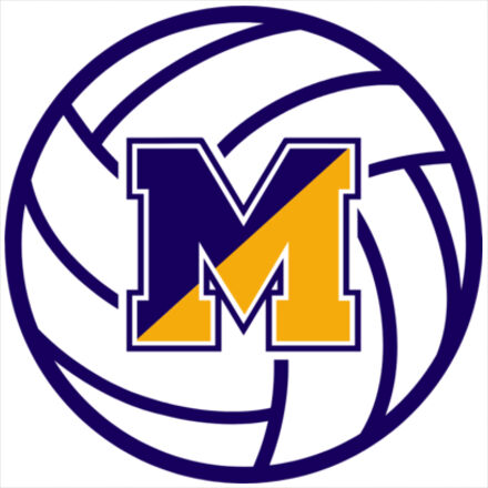 Volleyball - Outdoor/Car Magnet - 4in to 6in Thumbnail